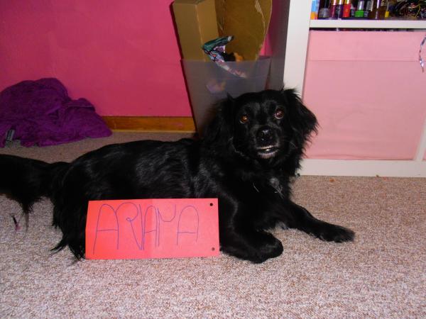 Ruby_Baby2's tweet image. @ArianaGrande jus t for you please LOOK AT IT !