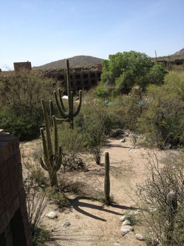 R.L. Stine tweet media