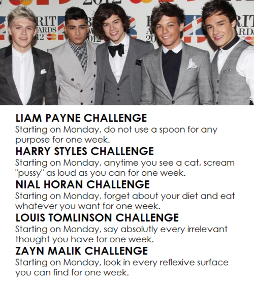 _KitaBitaa's tweet image. #challengesaccepted 💓 ! RT @lyshastyles: doing the #LiamPayneChallenge. you should too! :)