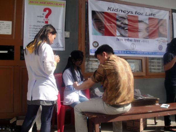 Withdrawing blood of patient on WKD 2012