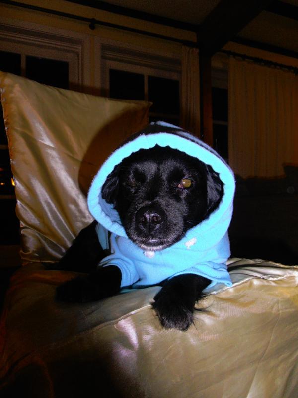 Ruby_Baby2's tweet image. :) me