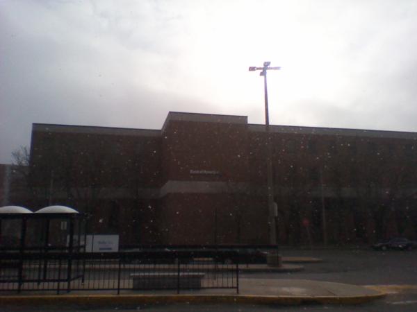 DJSterlinGolden's tweet image. LoL it looks kinda like #WinterVsSpring out here right now. =P &amp;lt;3