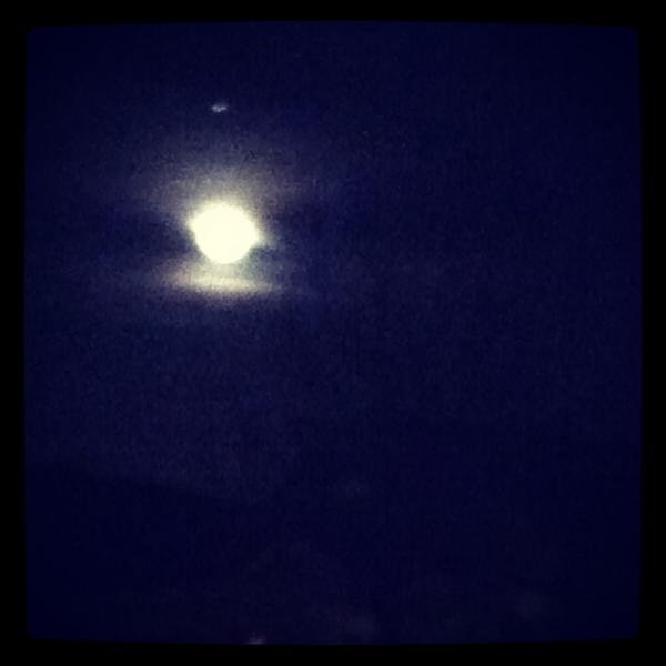 beckkabee's tweet photo. She wolf! http://t.co/HVPt5pK0