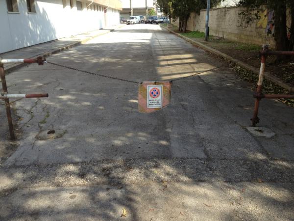 Visto che sul cartello c'è scritto automatico....forniscono anche i telecomandi per aprirlo e chiuderlo?