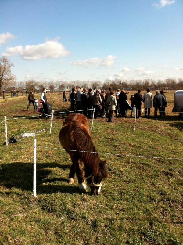 Samen met ons ;-) RT <a href="/HorSensePAS/">HorSense</a> Gisteren stond HorSense op lammetjesdag van de Kornse Boezem in Den Hout