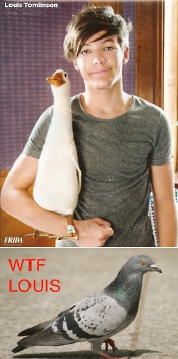 tarrahjohnson's tweet photo. Kevin is not impressed.. http://t.co/zMq4sNVA