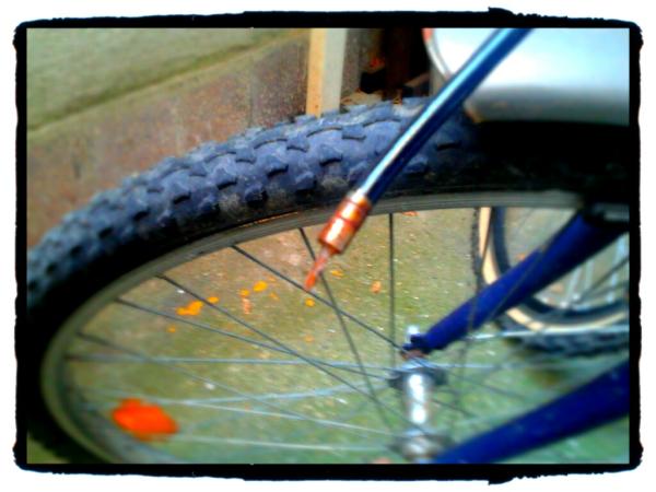 laszlo_reszegi's tweet image. Bringaszerelés: on. #fuckyeahspring