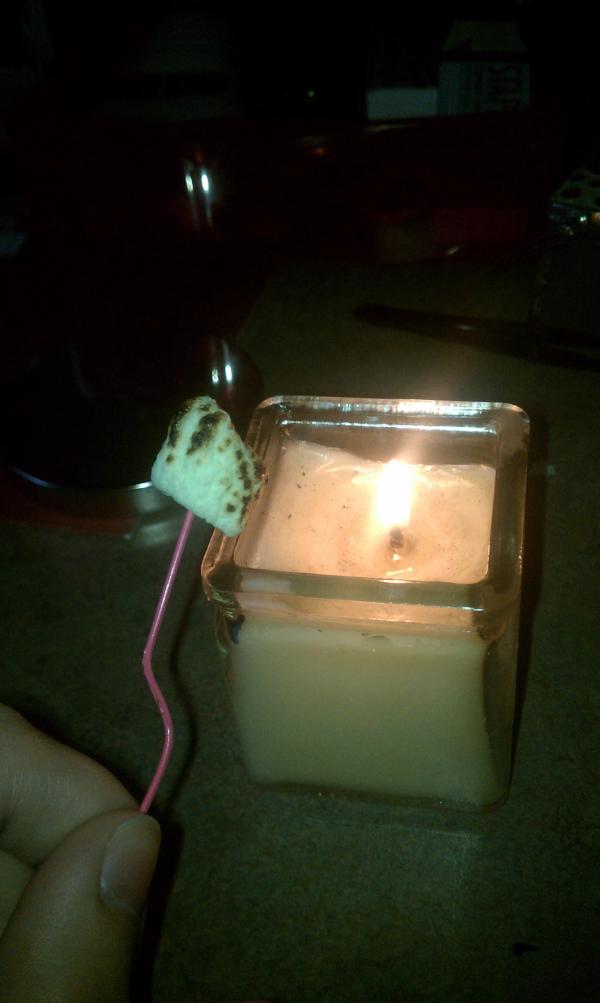 AshleyBassBunny's tweet image. #JwuProblems