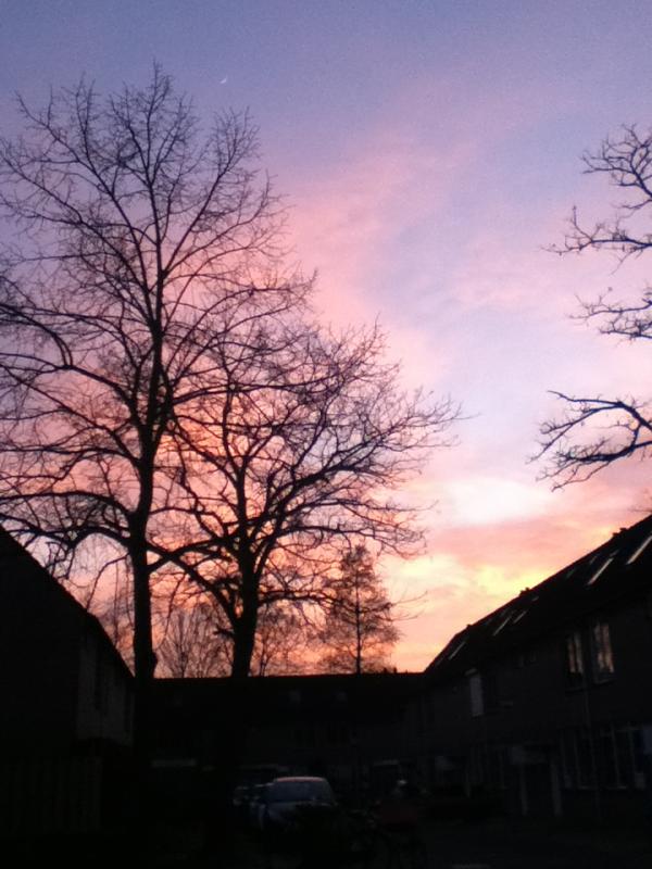 Esther_Noa's tweet image. Leuke lucht :) #rozig