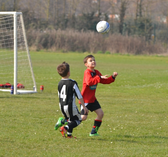 SAT 24/03/2012 - Portishead (0), Clevedon (2)