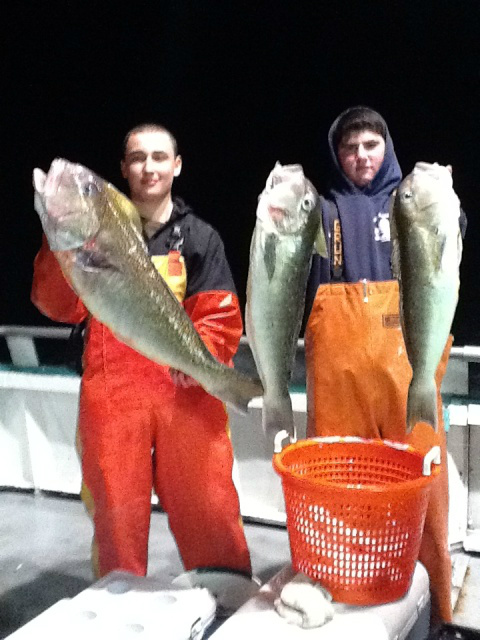 Vikingfleet's tweet photo. Great Tilefish trip on the Viing Starship... full report at http://t.co/BjZyw9Ku http://t.co/L0s92XXH