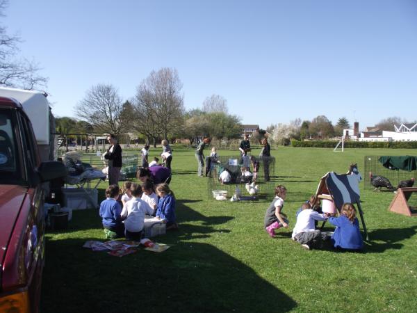 StRichardsPTFA's tweet photo. What a busy day we've had! http://t.co/VBZB1sgL The Mill Cottage Farm Experience came to visit. The kids LOVED it.... http://t.co/1GOTw9Sq