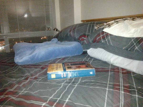 no_chaos's tweet image. #BedCheck #ThatIsAll @HeatherLLove