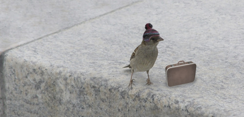 Dual_wield (@dual_wield) on Twitter photo 