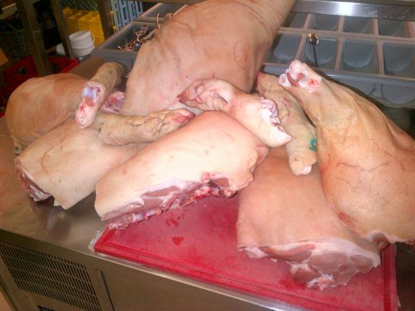 Vandaag gaan de Baambrugse hammen voor het aspergeseizoen het pekelbad in met knoflook tijm en rozemarijn voor 6 weken.