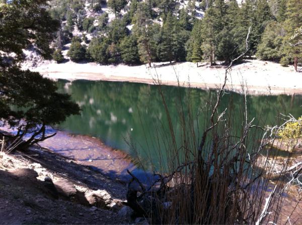 urbanflyy's tweet photo. Crystal lake was non productive.  Bass are low down and the growth is insane. http://t.co/p9KibIqI