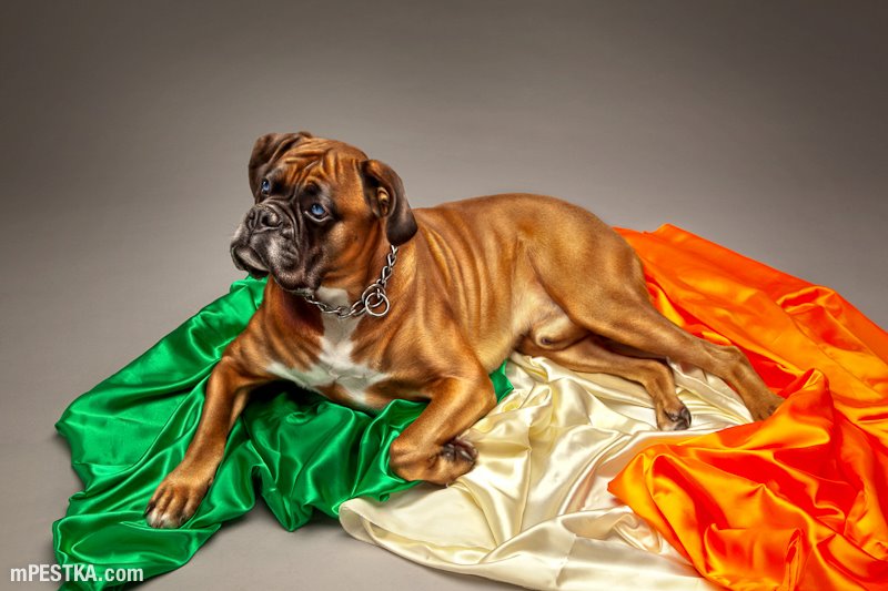 Embedded image permalink