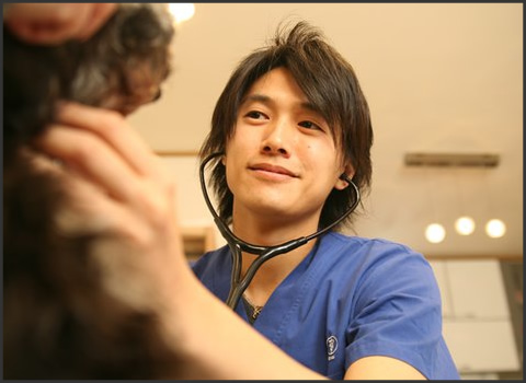 みよちん 知る人ぞ知る 白金高輪動物病院のイケメン院長 釈由美子の元カレ 白金高輪動物病院通っちゃおうかな って思っちゃうよね 艸 Http T Co Tuzhjxul みよちん 知る人ぞ知る 白金高輪動物病院のイケメン院長 釈由美子の元カレ 白金高輪動物病院通っちゃおうかな って思っちゃうよね 艸 Http T Co Tuzhjxul