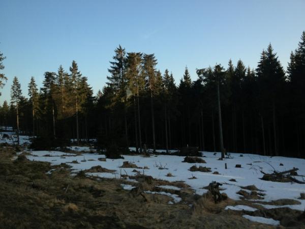 Jack_Moore7's tweet image. Into the wild
#snowvibes