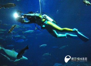 enosui_com tweet picture