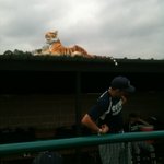 Photo by ETBU Baseball (@BaseballETBU)