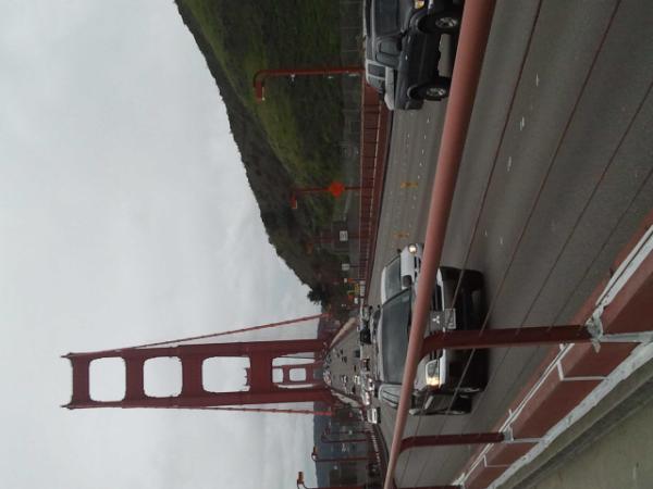 addisonroot2's tweet image. On the Golden Gate Bridge! #springbreakk