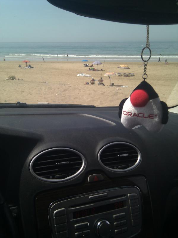 badrelhouari's tweet image. Java Duke traveling with me :-) #javaDuke