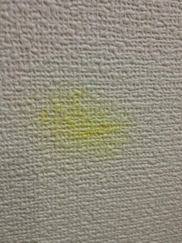 壁紙についた絵の具の落とし方 簡単 おすすめの取り方を紹介
