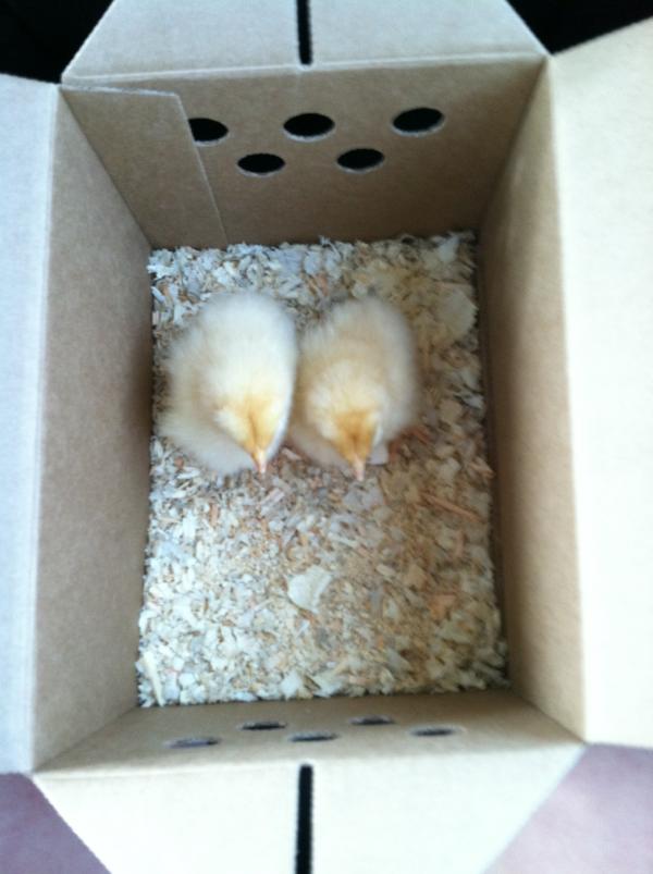 Today I became a mother.