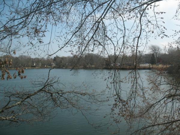 C21CapeCod's tweet image. Here in Buzzards Bay today it's 55 and partly sunny. Here is a picture of Bourne's Pond.