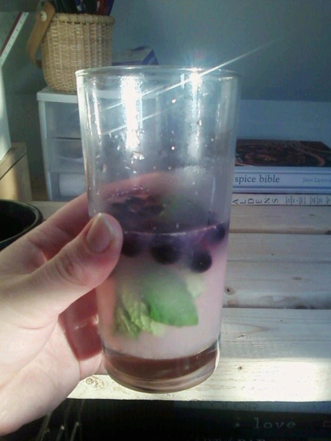 SomeKindofLight's tweet image. This day called for blueberry and mint lemonade. #fuckyeahspring