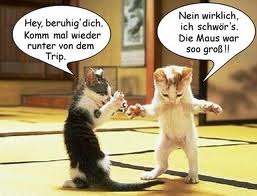 MarsCrmen's tweet photo. http://t.co/qTTfetEe