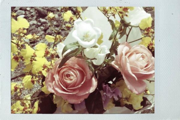 ぽぽ カンパニュラ 花言葉は感謝と後悔 Http T Co F0alkspr ぽぽ カンパニュラ 花言葉は感謝と後悔 Http T Co F0alkspr