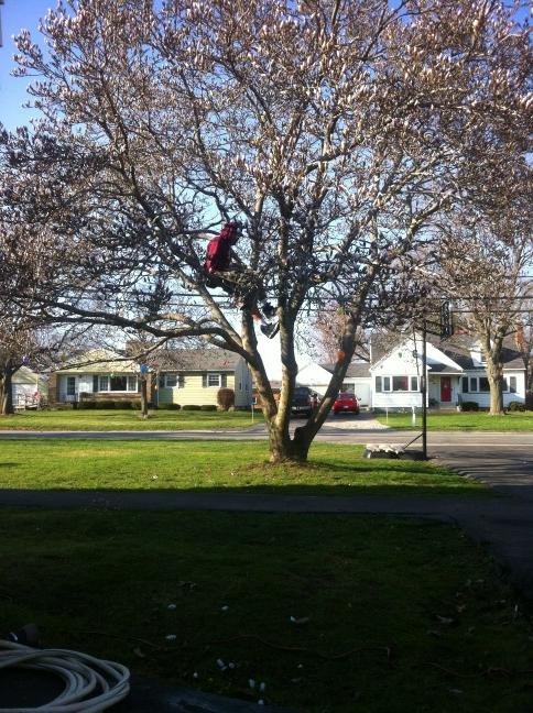 v3Legacy's tweet image. Cool bob love