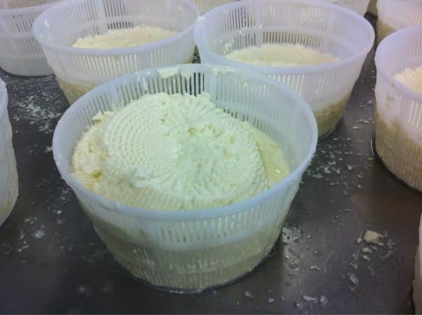 Fruition Farms tweet media