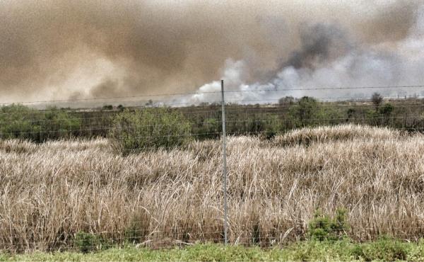 MelReyesAbbey's tweet image. #brushfire I pulled over to shoot in GA. Edited with #niksoftware #snapseed.