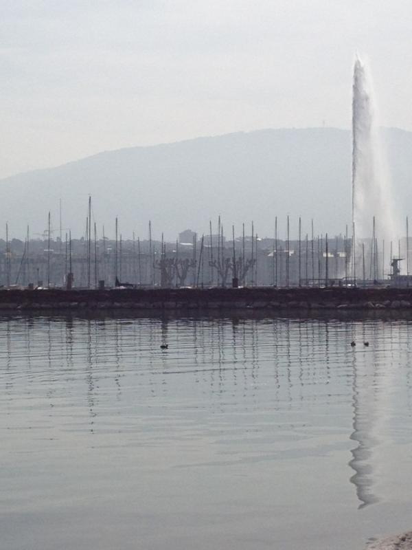 super_resistant's tweet photo. Et ici tout est calme... http://t.co/WdtZqkU3