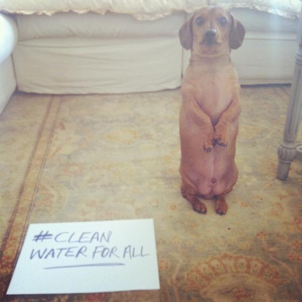 Adele's tweet photo. Even Louie wants you to get involved! #cleanwaterforall http://t.co/C3qizBCH