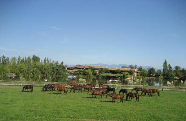 RuralCatalunya's tweet photo. Nou conjunt de 2 cases a l'Alt Empordà enmig dels Aiguamolls de l'Empordà. Un entorn meravellòs a 5 Km de la platja! http://t.co/RTGYBjxC