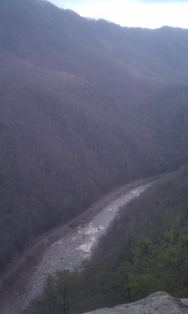 jcarsonmoore tweet picture