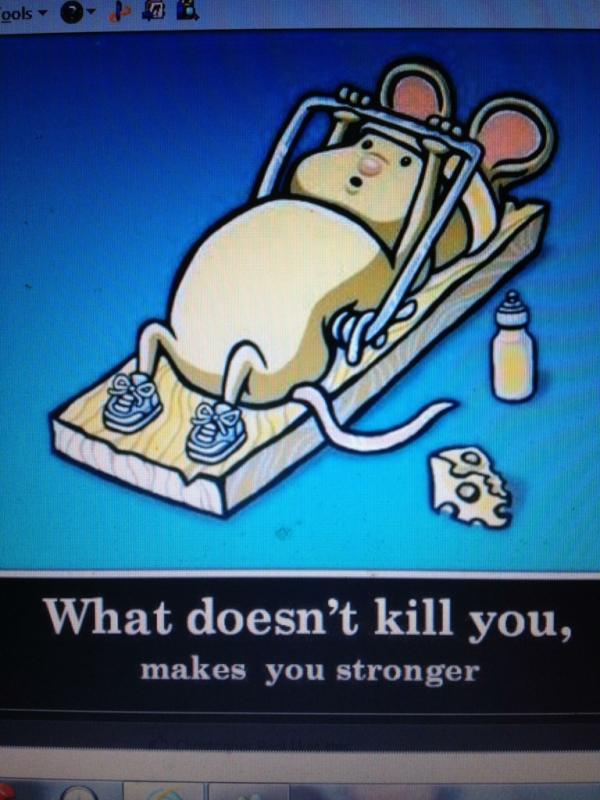 HomerBeaty's tweet photo. http://t.co/LmHoHzlb
