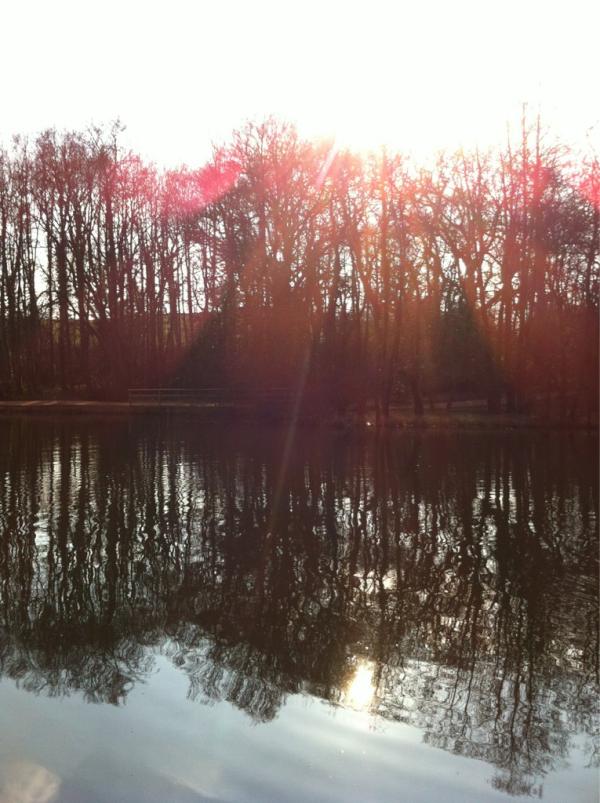 LlanerchVine's tweet photo. The lake on a lovely sunny day!! http://t.co/N3Ahj1Yn