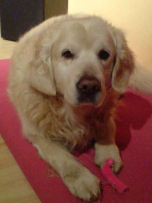 krasmella's tweet photo. <3 :'( http://t.co/9DCRjdA6