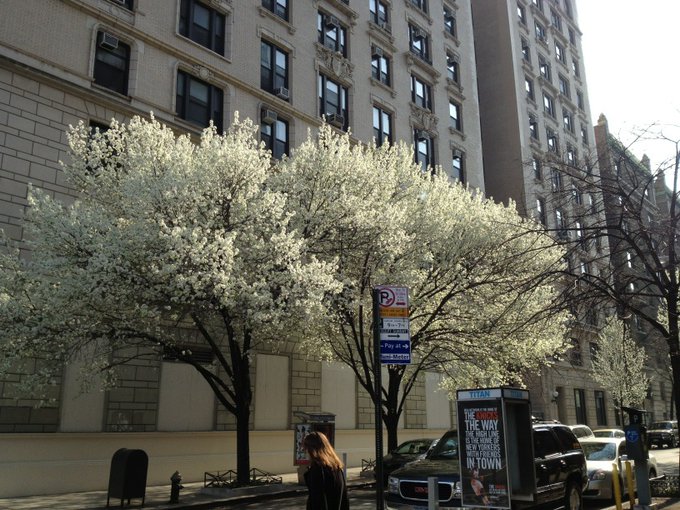 Another beautiful day http://t.co/MbSWE40N