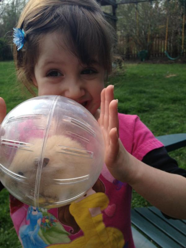 kampfire's tweet image. Squishy is getting some fresh air #spring