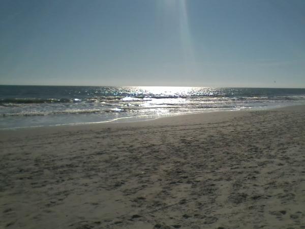 laurenpaigejo's tweet image. If only you knew how much I've missed you #gladimback