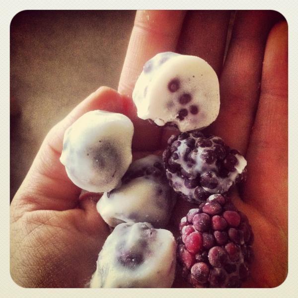 Seneca Crane Nightlock Berries The Home Garden