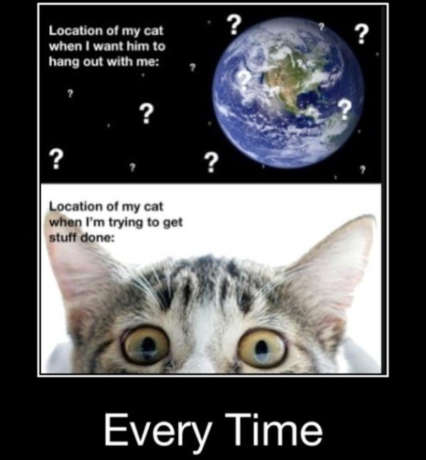 Cat_Probz's tweet image. True. #CatProbz
