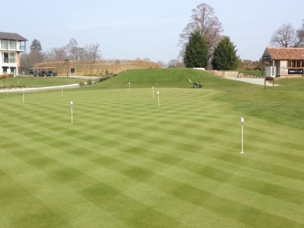 RightSidedGolf's tweet image. Intensive short game golf schools @RightSidedGolf @LingfieldGolf #moreconsistency #improvescore :0)