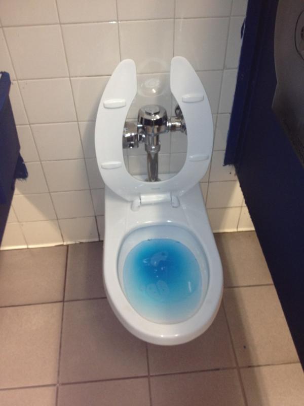 mkenyon1's tweet image. @allyledoux blue toilet? #peeproblems